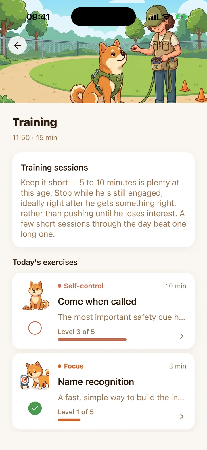 A training session in Taily with today’s exercises